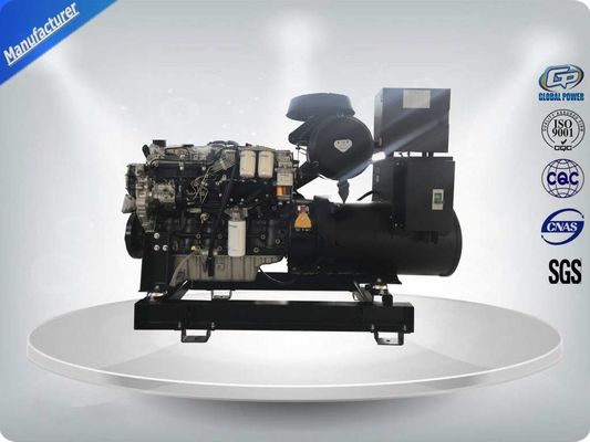 Китай Мощность в режиме ожидания 132кВ / 165кВ Перкинс Дизельный Генсет 1106А-70TAG2 Delixi переключатель поставщик